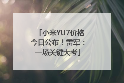 小米YU7价格今日公布！雷军：一场关键大考