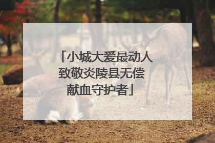 小城大爱最动人 致敬炎陵县无偿献血守护者