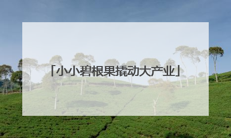 小小碧根果撬动大产业