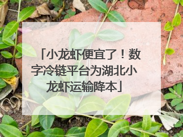 小龙虾便宜了！数字冷链平台为湖北小龙虾运输降本