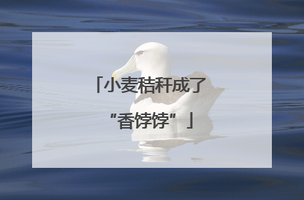 小麦秸秆成了“香饽饽”