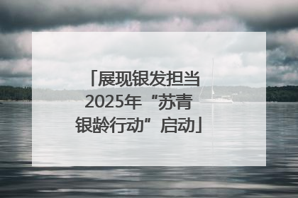 展现银发担当 2025年“苏青银龄行动”启动
