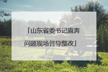 山东省委书记直奔问题现场督导整改