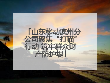 山东移动滨州分公司聚焦“打猫”行动 筑牢群众财产防护堤