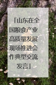 山东在全国粮食产业高质量发展现场推进会作典型交流发言