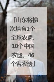 山东将梯次培育1个全球农遗、10个中国农遗、46个省农遗