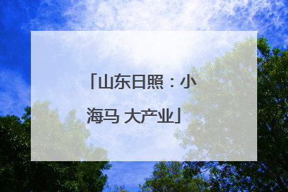 山东日照：小海马 大产业