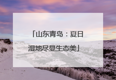 山东青岛：夏日湿地尽显生态美