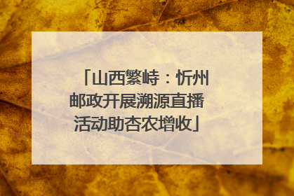 山西繁峙：忻州邮政开展溯源直播活动助杏农增收
