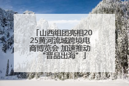 山西组团亮相2025黄河流域跨境电商博览会 加速推动“晋品出海”