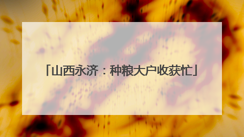 山西永济：种粮大户收获忙