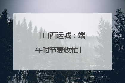 山西运城：端午时节麦收忙
