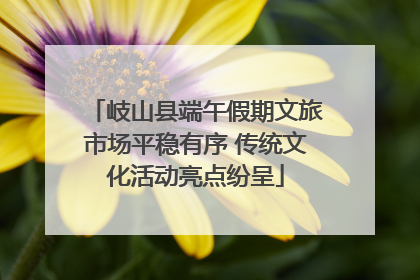 岐山县端午假期文旅市场平稳有序 传统文化活动亮点纷呈