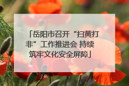 岳阳市召开“扫黄打非”工作推进会 持续筑牢文化安全屏障