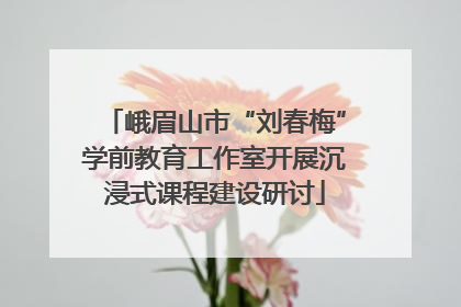 峨眉山市“刘春梅”学前教育工作室开展沉浸式课程建设研讨