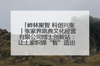 峰林聚智 科创兴张丨张家界旅典文化经营有限公司博士创新站：让土家织锦“智”造出非遗新传奇