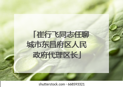 崔行飞同志任聊城市东昌府区人民政府代理区长