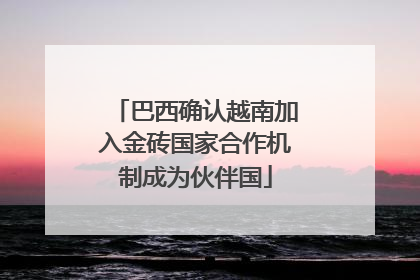 巴西确认越南加入金砖国家合作机制成为伙伴国