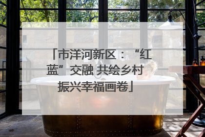 市洋河新区：“红蓝”交融 共绘乡村振兴幸福画卷
