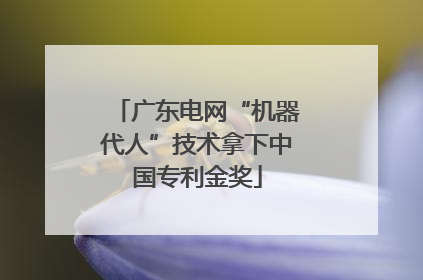 广东电网“机器代人”技术拿下中国专利金奖