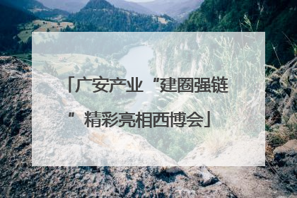 广安产业“建圈强链”精彩亮相西博会