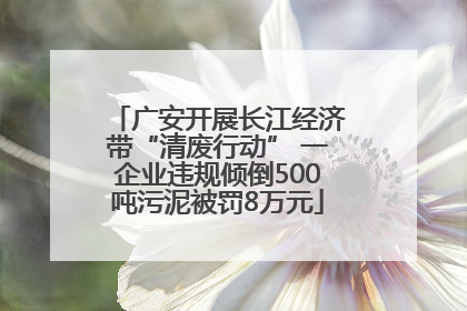 广安开展长江经济带“清废行动” 一企业违规倾倒500吨污泥被罚8万元
