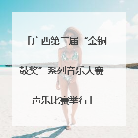 广西第二届“金铜鼓奖”系列音乐大赛声乐比赛举行