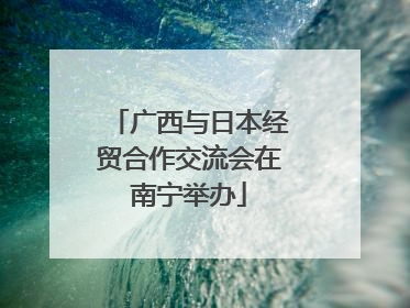 广西与日本经贸合作交流会在南宁举办
