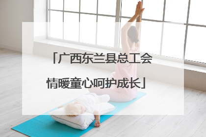 广西东兰县总工会情暖童心呵护成长