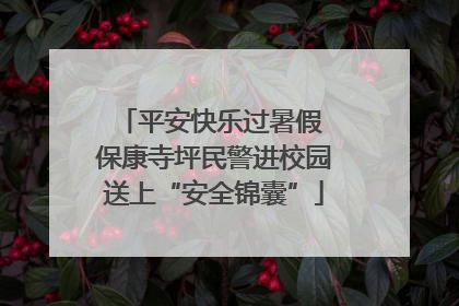 平安快乐过暑假 保康寺坪民警进校园送上“安全锦囊”