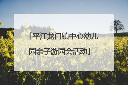 平江龙门镇中心幼儿园亲子游园会活动