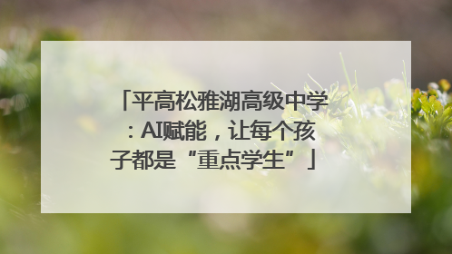 平高松雅湖高级中学：AI赋能，让每个孩子都是“重点学生”