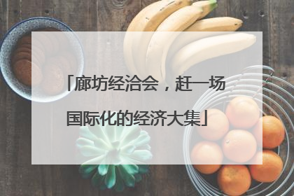廊坊经洽会，赶一场国际化的经济大集