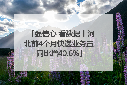 强信心 看数据丨河北前4个月快递业务量同比增40.6%