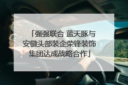 强强联合 蓝天豚与安徽头部装企荣锋装饰集团达成战略合作