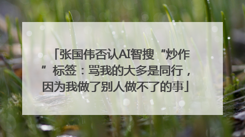 张国伟否认AI智搜“炒作”标签：骂我的大多是同行，因为我做了别人做不了的事
