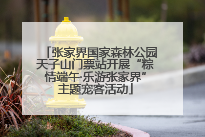 张家界国家森林公园天子山门票站开展“粽情端午·乐游张家界”主题宠客活动
