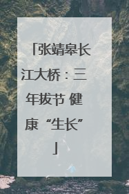 张靖皋长江大桥：三年拔节 健康“生长”