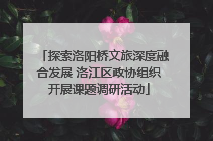探索洛阳桥文旅深度融合发展 洛江区政协组织开展课题调研活动