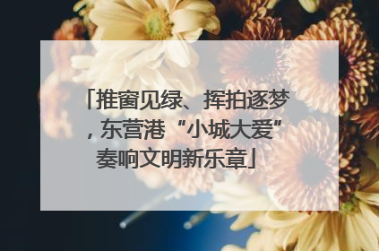 推窗见绿、挥拍逐梦，东营港“小城大爱”奏响文明新乐章