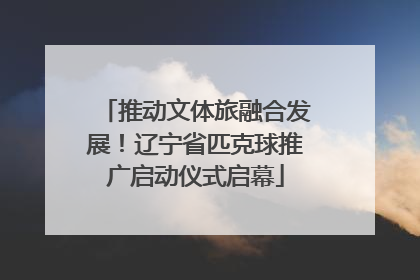 推动文体旅融合发展！辽宁省匹克球推广启动仪式启幕