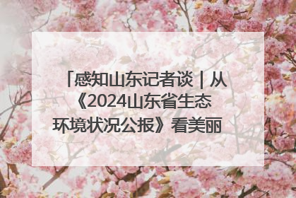 感知山东记者谈｜从《2024山东省生态环境状况公报》看美丽山东建设的“成绩单”与“任务书”