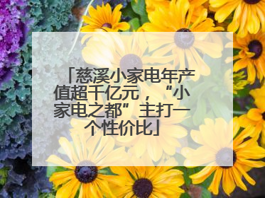 慈溪小家电年产值超千亿元，“小家电之都”主打一个性价比
