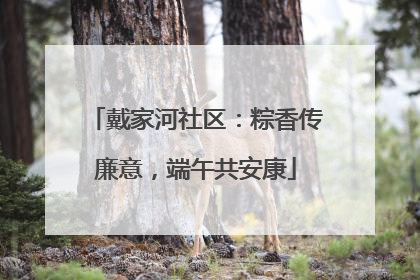 戴家河社区：粽香传廉意，端午共安康