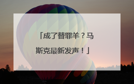 成了替罪羊？马斯克最新发声！