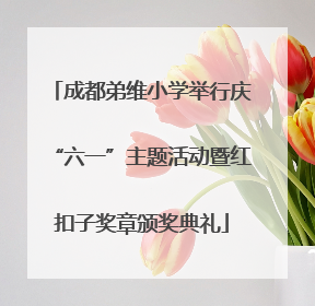 成都弟维小学举行庆“六一”主题活动暨红扣子奖章颁奖典礼