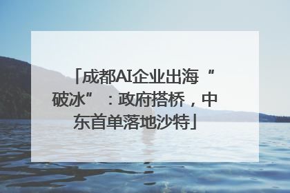成都AI企业出海“破冰”：政府搭桥，中东首单落地沙特