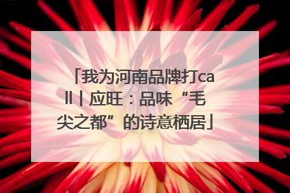 我为河南品牌打call丨应旺：品味“毛尖之都”的诗意栖居