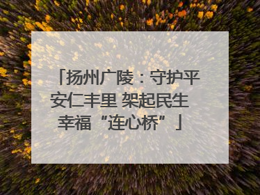 扬州广陵：守护平安仁丰里 架起民生幸福“连心桥”