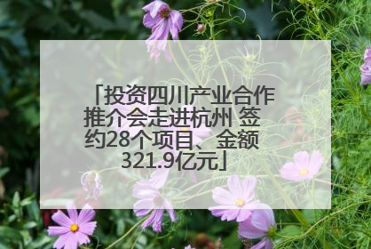 投资四川产业合作推介会走进杭州 签约28个项目、金额321.9亿元